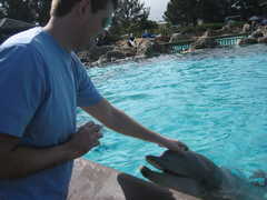 Sea World - Attractions - San Diego, CA, United States Sea World - Attractions - San Diego, CA, United States