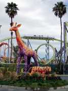 Six Flags Marine World - Attraction - 1001 Fairgrounds Dr, Vallejo, CA, United States