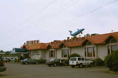 Blue Dolphin - Restaurant - 7670 State rte 434, Apalachin, NY, United States Blue Dolphin - Restaurant - 7670 State rte 434, Apalachin, NY, United States