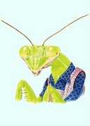 Lowery Park Zoo - Attractions - 1101 W Sligh Ave, Tampa, FL, 33604, US