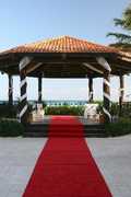 Playa Del Carmen Wedding In May in Playa del Carmen, Quintana Roo, Mexico Playa Del Carmen Wedding In May in Playa del Carmen, Quintana Roo, Mexico