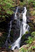 Great Smoky Mountains National Park Wedding In October in Gatlinburg, TN, USA