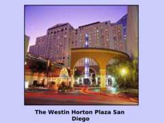 San Diego Wedding In August in San Diego, CA, USA