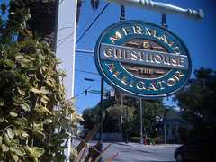 Mermaid & the Alligator - Hotel - 729 Truman Ave, Key West, FL, 33040, US