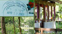 Bridal Veil Lakes Wedding In July in Bridal Veil, OR, USA Bridal Veil Lakes Wedding In July in Bridal Veil, OR, USA
