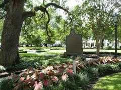Savannah Wedding In November in Wilmington Island, GA, USA