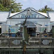 Key West Aquarium - Attraction - 1 Whitehead St, Key West, FL, 33040 Key West Aquarium - Attraction - 1 Whitehead St, Key West, FL, 33040
