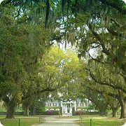 Mt. Pleasant Wedding In September in Mt Pleasant, SC, USA