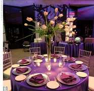 Camelot Banquets - Reception - 8624 W 95th St, Hickory Hills, IL, 60457