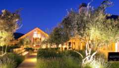 Napa Wedding In June in Napa, CA, USA