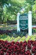 Pawleys Island Wedding In June in Murrells Inlet, SC, USA