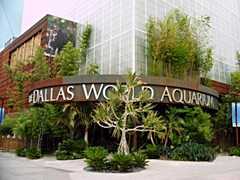 Dallas World Aquarium - Entertainment - 1801 N Griffin St, Dallas, TX, United States Dallas World Aquarium - Entertainment - 1801 N Griffin St, Dallas, TX, United States