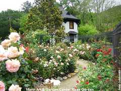 Marin Art & Garden Center - Reception - 30 Sir Francis Drake Blvd, San Anselmo, CA, 94960, US