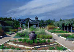 Lady bird Johnson Wildflower Center - Outside Attraction - 4801 La Crosse Ave, Austin, TX, United States Lady bird Johnson Wildflower Center - Outside Attraction - 4801 La Crosse Ave, Austin, TX, United States