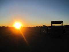 Sundowner & Bush Dinner - Bush Dinner - Sundowner & Bush Dinner - Bush Dinner -