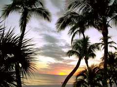 Holiday Inn Fort Myers Beach - Hotel - 6890 Estero Boulevard, Fort Myers Beach, FL, United States