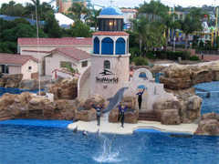Seaworld - Attraction - 500 Sea World Dr, San Diego, CA, United States