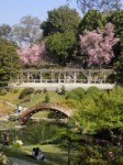 Huntington Library & Botanical Gardens - Things to Do, Places to See - 1151 Oxford Rd, San Marino, CA, 91108, US Huntington Library & Botanical Gardens - Things to Do, Places to See - 1151 Oxford Rd, San Marino, CA, 91108, US