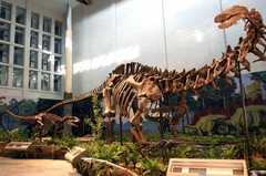 Carnegie Museums - Museum - 4400 Forbes Ave, Pittsburgh, PA, 15213, US Carnegie Museums - Museum - 4400 Forbes Ave, Pittsburgh, PA, 15213, US