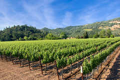 Napa California - Attraction - Napa, California, US