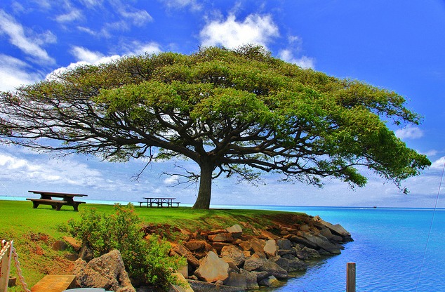 Unnamed - Ceremony Sites - Hickam AFB, HI