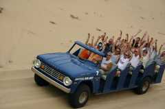 Saugatuck Dune Rides Inc - Attractions - 6495 Washington Road, Saugatuck, MI, United States Saugatuck Dune Rides Inc - Attractions - 6495 Washington Road, Saugatuck, MI, United States