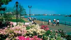 Woldenberg Riverfront Park - Attraction - 1 Canal Street, New Orleans, LA, United States