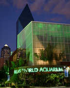 Dallas World Aquarium - Attraction - 1801 N Griffin St, Dallas, TX, United States