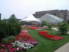 East Lansing Wedding In May in East Lansing, MI, USA East Lansing Wedding In May in East Lansing, MI, USA