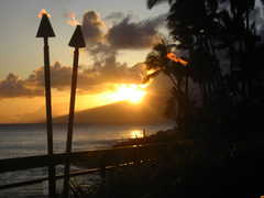 Sea House Restaurant - Restaurant - 5900 Lower Honoapiilani Road, Lahaina, HI, United States