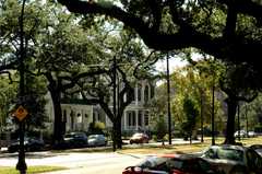 Garden District Tour - Tours - 2727 Prytania St, New Orleans, LA, United States