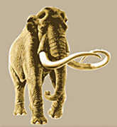 Waco Mammoth Site - Waco Attraction - 6220 Steinbeck Bend Dr, Waco, TX, 76708 Waco Mammoth Site - Waco Attraction - 6220 Steinbeck Bend Dr, Waco, TX, 76708
