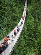 275651_s