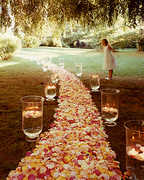 Asheville Wedding In September in Asheville, NC, USA