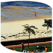 Arcachon - Attraction - Arcachon, Aquitaine