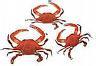 The Jetty - Restaurant - 201 Wells Cove Rd, Grasonville, MD, 21638