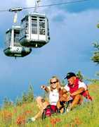Lionshead Gondola Entrance - Attraction - Lionshead Gondola Entrance - Attraction -