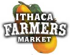 Ithaca Wedding In September in Horseheads, NY, USA