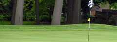Berrien Hills Golf Club - Golf - 690 W. Napier Avenue, Benton Harbor, MI, 49022, USA