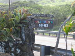 Where we are getting married! - Ceremony - 55-113 Kamehameha Hwy, Laie ...