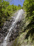 Manoa Falls - Attractions - Manoa Rd, Honolulu, HI 96822 Manoa Falls - Attractions - Manoa Rd, Honolulu, HI 96822