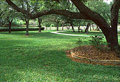 County of Pinellas: Philippe Park - Attraction - 2525 Phillippe Pkwy, Safety Harbor, FL, United States