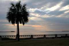 Waterfront Park - Attraction - 34 Prioleau St, Charleston, SC, United States