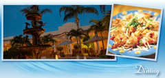 Satety Harbor Resort and Spa - Hotel - 105 North Bayshore Drive, Safety Harbor, FL, United States