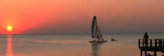 Sailport Resort - Hotel - 2506 N Rocky Point Dr, Tampa, FL, 33607, US