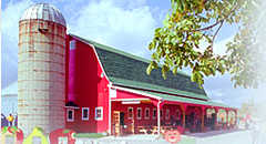 West View Orchard & Cider Mill - Attractions - 65075 Van Dyke Rd, Washington, MI, 48095, US