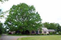 Acorn's Hope - Bed & Breakfast - 85 Alford Rd, Great Barrington, MA, 01230, United States Acorn's Hope - Bed & Breakfast - 85 Alford Rd, Great Barrington, MA, 01230, United States