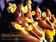 Old Lahaina Luau - Reception - 1251 Front St, Lahaina, HI, United States Old Lahaina Luau - Reception - 1251 Front St, Lahaina, HI, United States