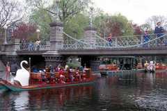 Public Gardens / Boston Common - Attraction - Public Gardens / Boston Common - Attraction -