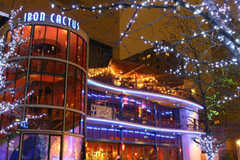 Iron Cactus - Brunch - 1520 Main St # 101, Dallas, TX, United States